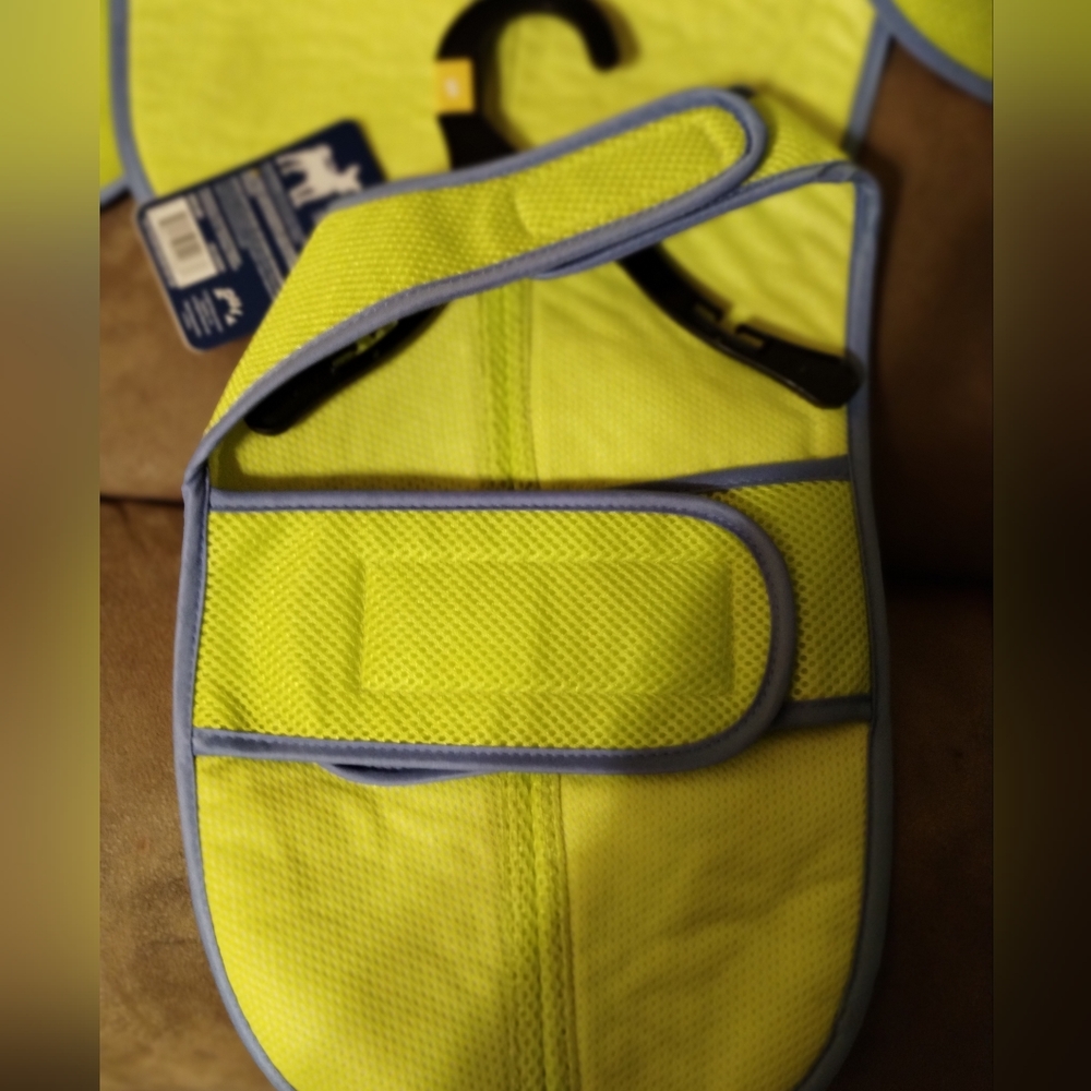 Pet cooling vest
